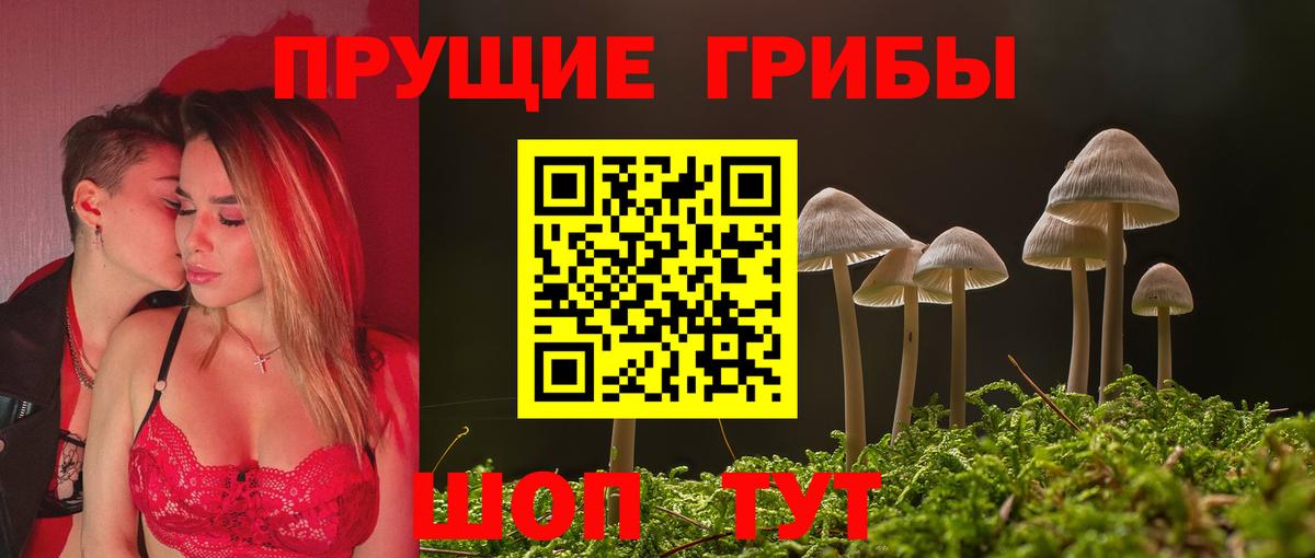 Сыктывкар  Псилоцибиновые грибы Cubensis  Галлюциногенные грибы Psilocybine cubensis  Вход с VPN 