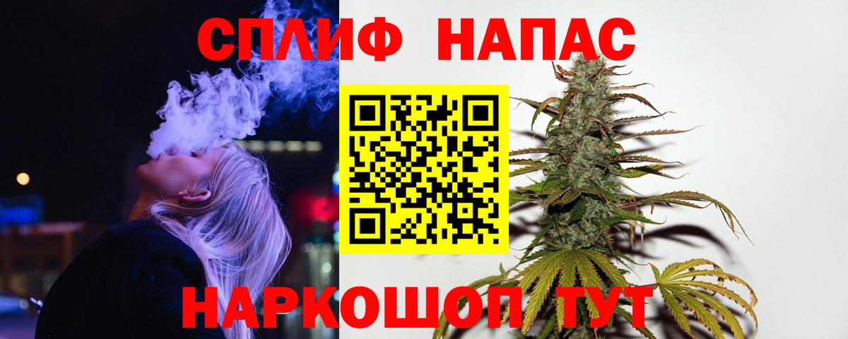Конопля сатива Сыктывкар